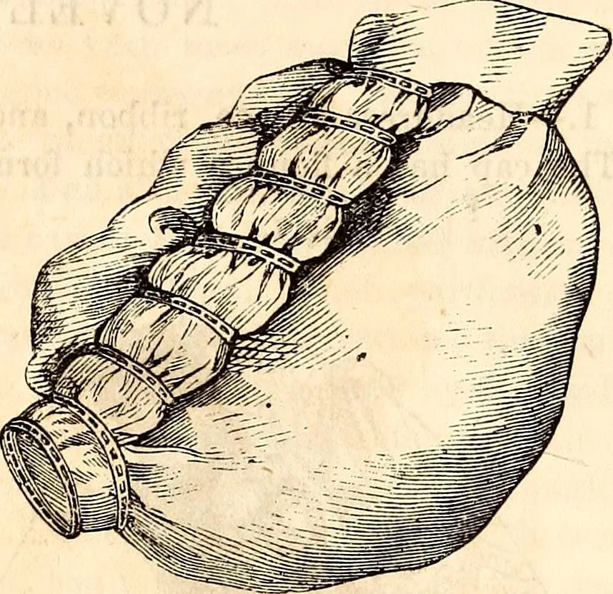 An illustration from Godey's lady's book, 1840, leaf 639