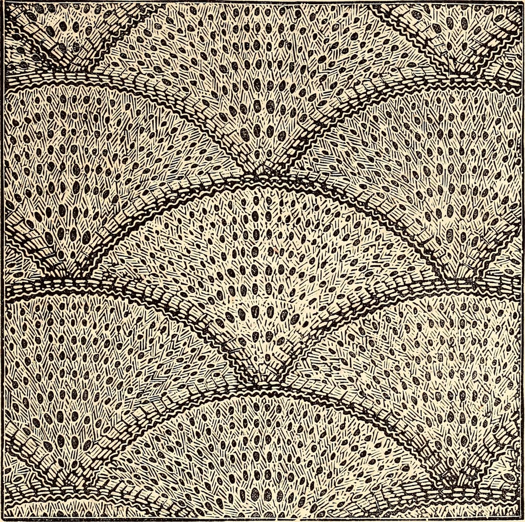 An illustration from Godey's lady's book, 1840, leaf 648