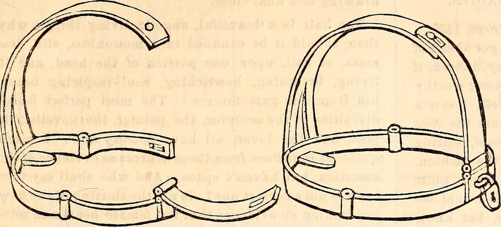 An illustration from Godey's lady's book, 1840, leaf 662