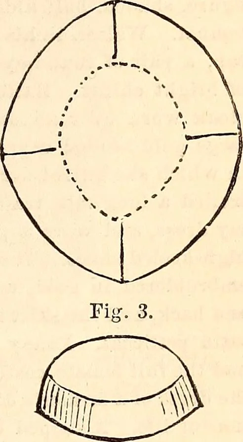 An illustration from Godey's lady's book, 1840, leaf 664