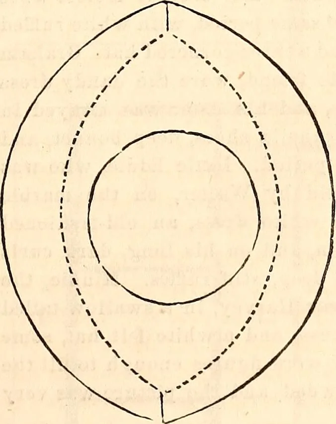 An illustration from Godey's lady's book, 1840, leaf 664