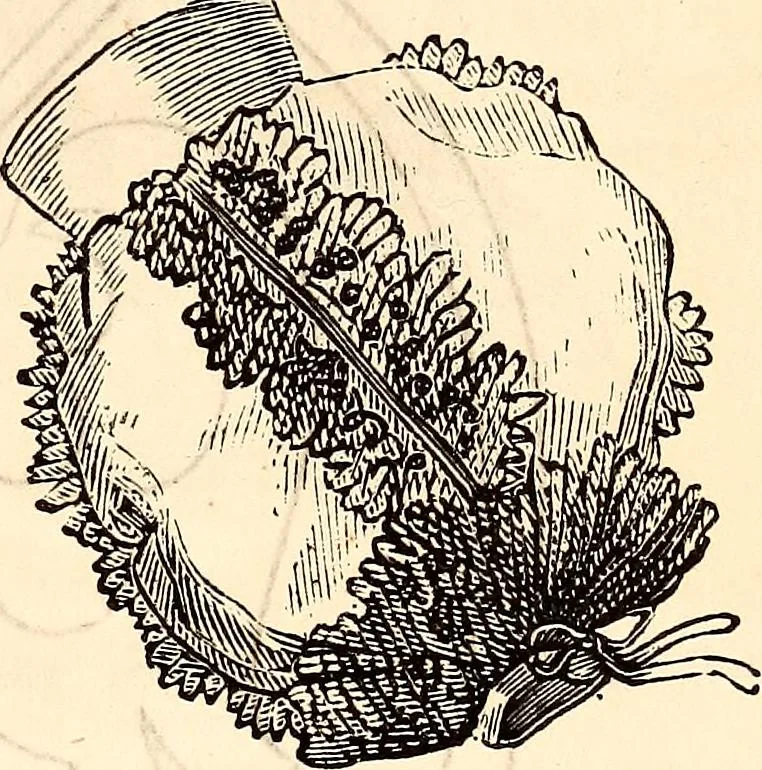 An illustration from Godey's lady's book, 1840, leaf 70