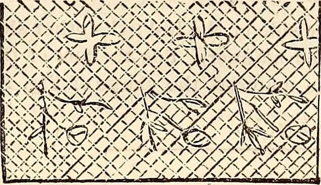 An illustration from Godey's lady's book, 1840, leaf 868