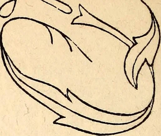 An illustration from Godey's lady's book, 1840, leaf 895