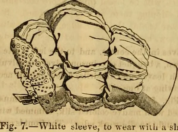 An illustration from Godey's lady's book 1861 Jan -June; Jul - Dec, 1861, leaf 1084