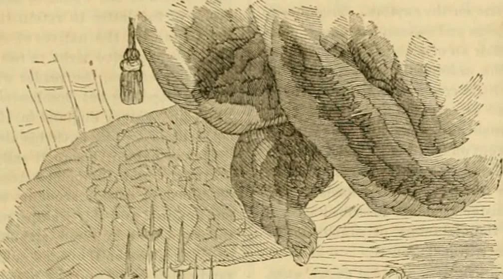 An illustration from Godey's lady's book 1861 Jan -June; Jul - Dec, 1861, leaf 1135