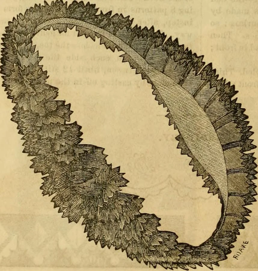 An illustration from Godey's lady's book 1861 Jan -June; Jul - Dec, 1861, leaf 1184