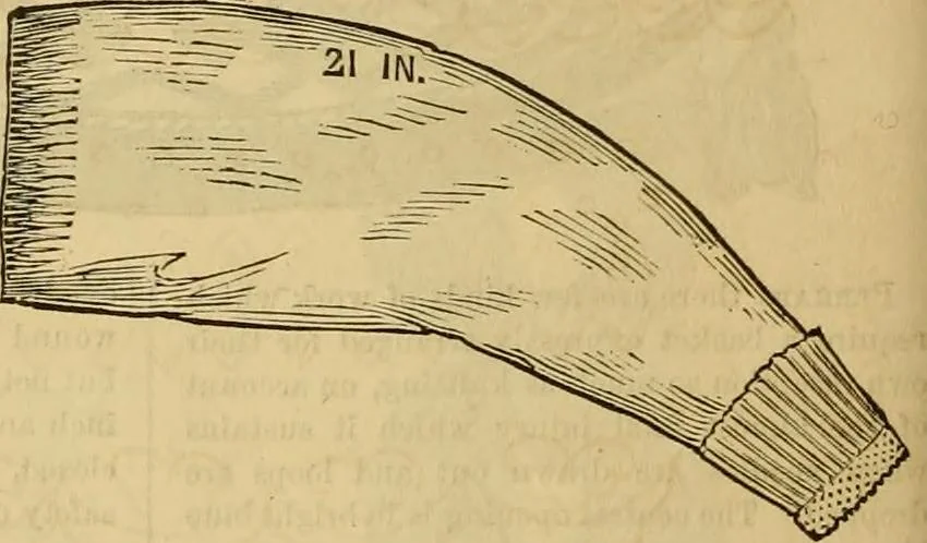 An illustration from Godey's lady's book 1861 Jan -June; Jul - Dec, 1861, leaf 184