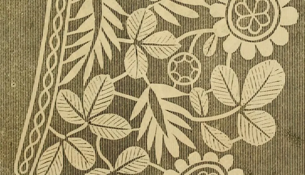 An illustration from Godey's lady's book 1861 Jan -June; Jul - Dec, 1861, leaf 25
