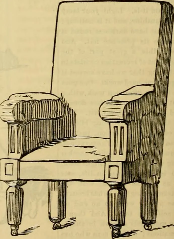 An illustration from Godey's lady's book 1861 Jan -June; Jul - Dec, 1861, leaf 376