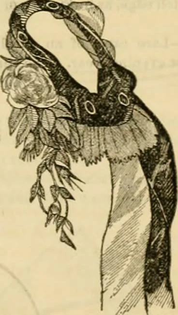 An illustration from Godey's lady's book 1861 Jan -June; Jul - Dec, 1861, leaf 383