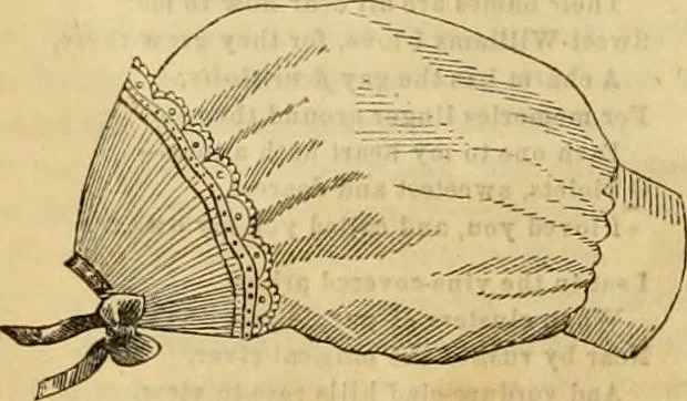 An illustration from Godey's lady's book 1861 Jan -June; Jul - Dec, 1861, leaf 482