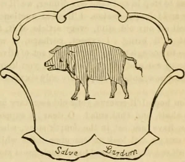 An illustration from Godey's lady's book 1861 Jan -June; Jul - Dec, 1861, leaf 57