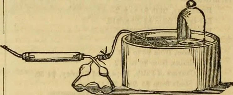 An illustration from Godey's lady's book 1861 Jan -June; Jul - Dec, 1861, leaf 732
