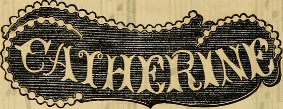 An illustration from Godey's lady's book 1861 Jan -June; Jul - Dec, 1861, leaf 744