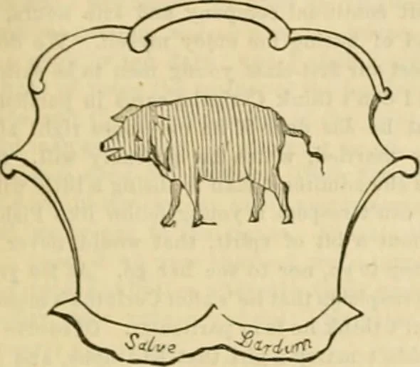 An illustration from Godey's lady's book 1861 Jan -June; Jul - Dec, 1861, leaf 795