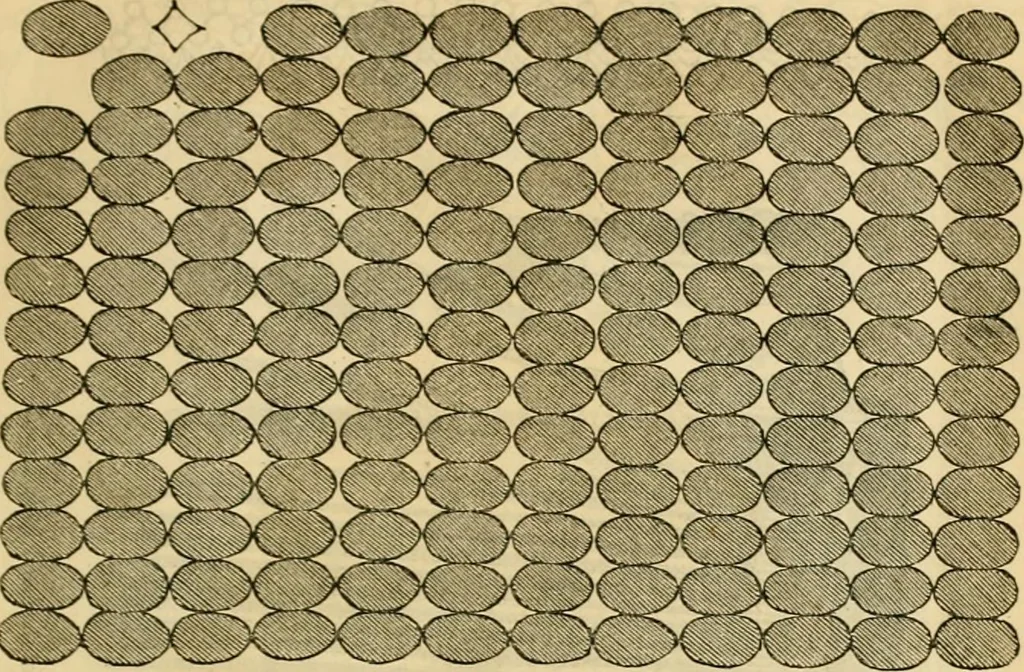 An illustration from Godey's lady's book 1861 Jan -June; Jul - Dec, 1861, leaf 835