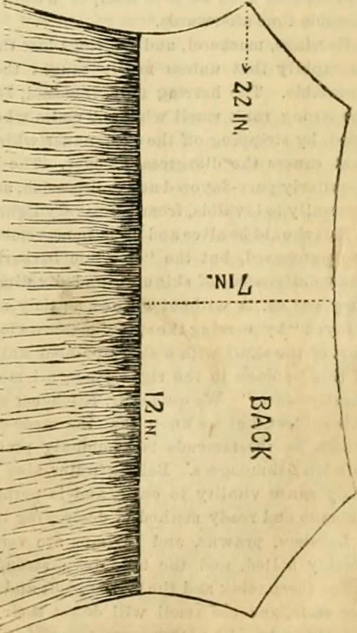 An illustration from Godey's lady's book 1861 Jan -June; Jul - Dec, 1861, leaf 897