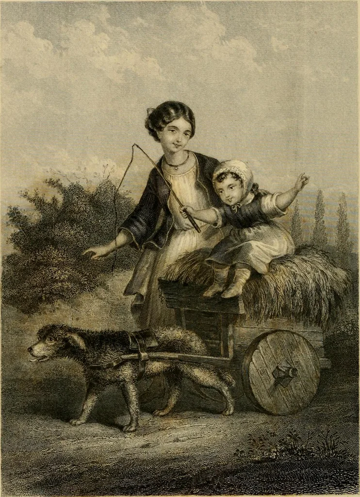 An illustration from Godey's lady's book 1861 Jan -June; Jul - Dec, 1861, leaf 914
