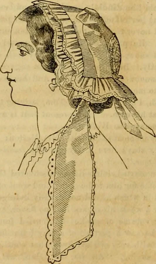 An illustration from Godey's lady's book 1861 Jan -June; Jul - Dec, 1861, leaf 984