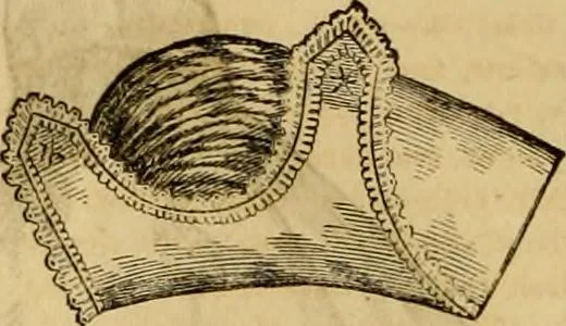 An illustration from Godey's lady's book 1861 Jan -June; Jul - Dec, 1861, leaf 988