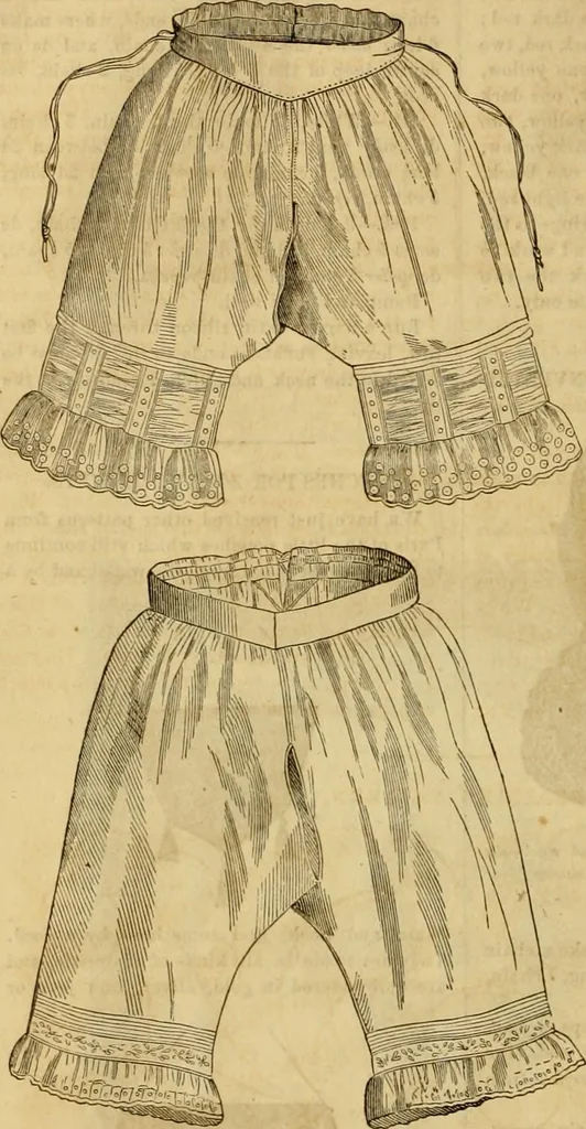 An illustration from Godey's lady's book 1861 Jan -June; Jul - Dec, 1861, leaf 990