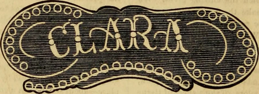 An illustration from Godey's lady's book 1861 Jan -June; Jul - Dec, 1861, leaf 992