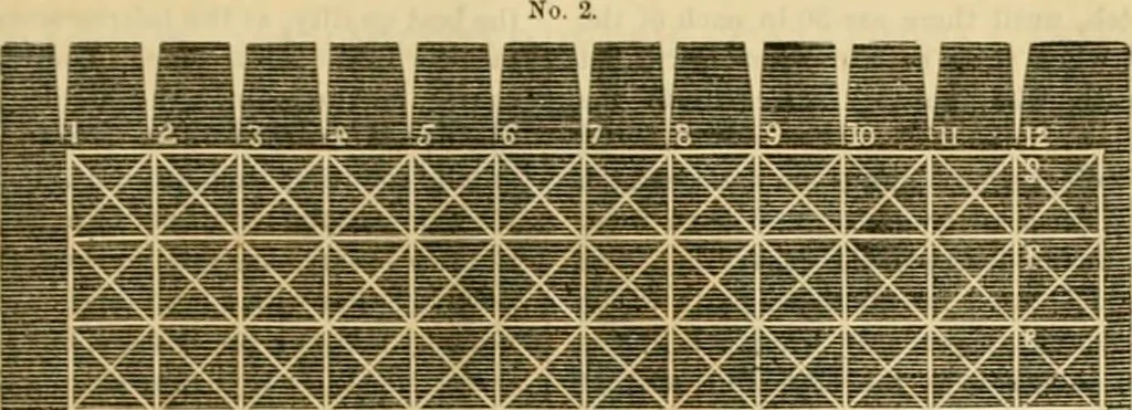 An illustration from Godey's lady's book 1862 Jan -June; Jul - Dec, 1862, leaf 1109