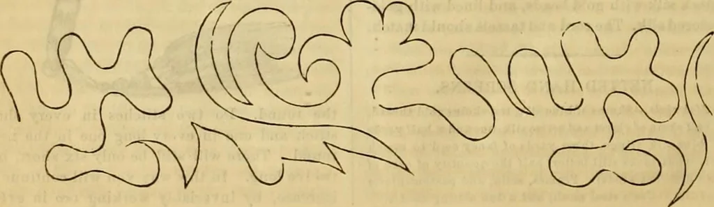 An illustration from Godey's lady's book 1862 Jan -June; Jul - Dec, 1862, leaf 1110