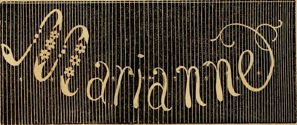 An illustration from Godey's lady's book 1862 Jan -June; Jul - Dec, 1862, leaf 1142