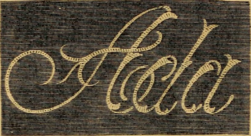 An illustration from Godey's lady's book 1862 Jan -June; Jul - Dec, 1862, leaf 120