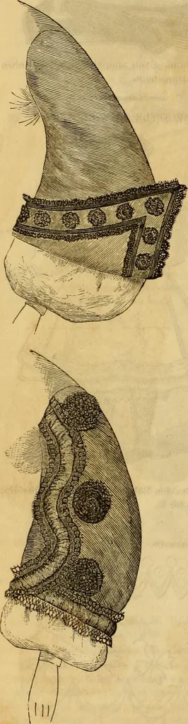 An illustration from Godey's lady's book 1862 Jan -June; Jul - Dec, 1862, leaf 1204
