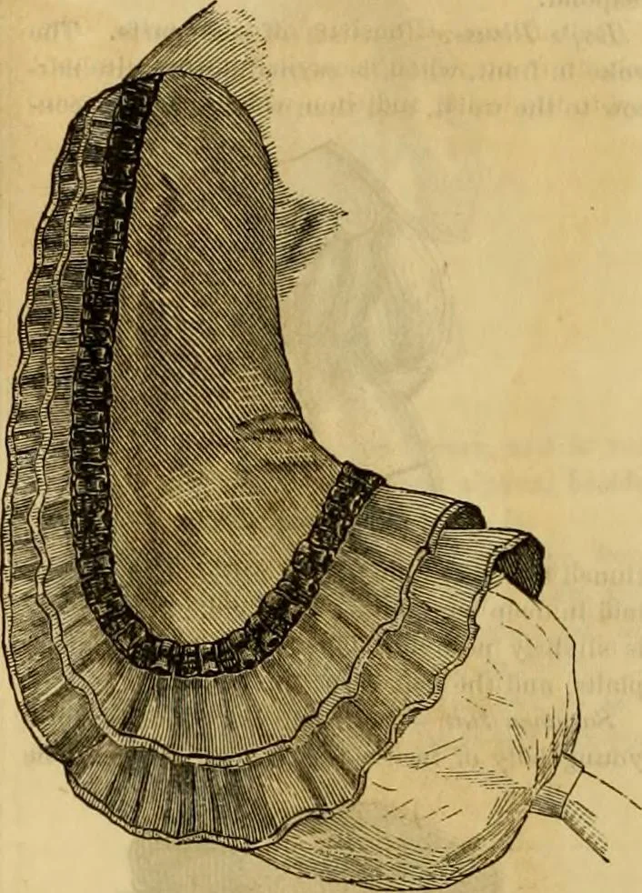 An illustration from Godey's lady's book 1862 Jan -June; Jul - Dec, 1862, leaf 1204