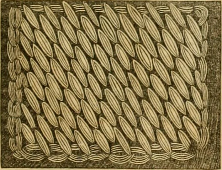 An illustration from Godey's lady's book 1862 Jan -June; Jul - Dec, 1862, leaf 1209