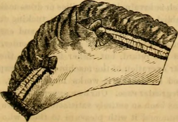 An illustration from Godey's lady's book 1862 Jan -June; Jul - Dec, 1862, leaf 181