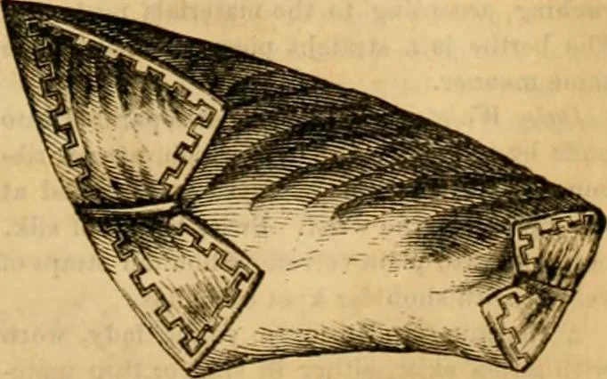 An illustration from Godey's lady's book 1862 Jan -June; Jul - Dec, 1862, leaf 181