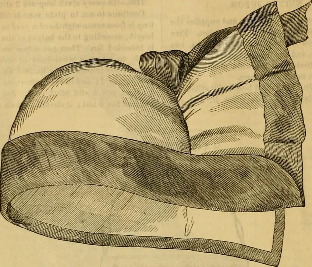 An illustration from Godey's lady's book 1862 Jan -June; Jul - Dec, 1862, leaf 188