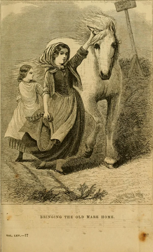 An illustration from Godey's lady's book 1862 Jan -June; Jul - Dec, 1862, leaf 211