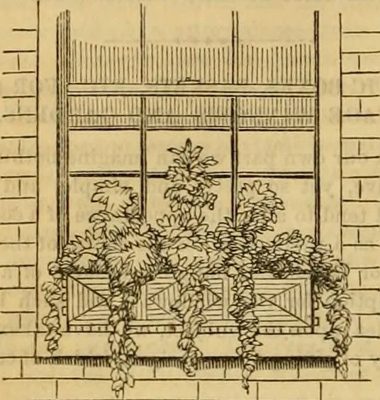 An illustration from Godey's lady's book 1862 Jan -June; Jul - Dec, 1862, leaf 254