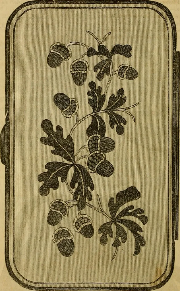 An illustration from Godey's lady's book 1862 Jan -June; Jul - Dec, 1862, leaf 278