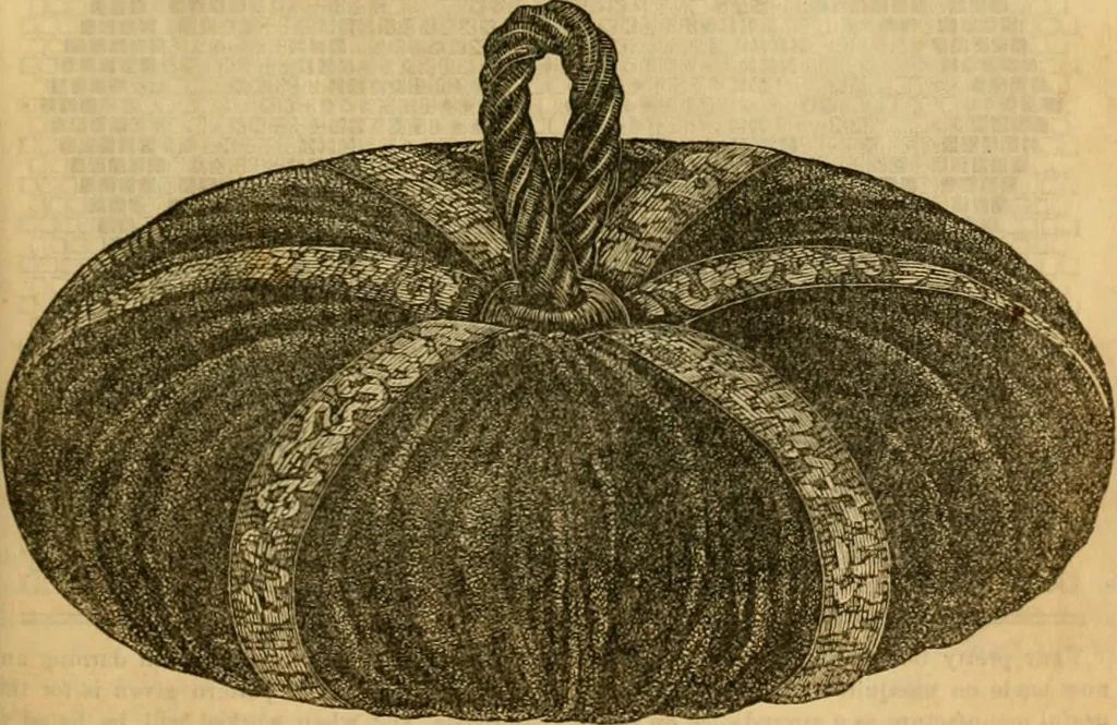 An illustration from Godey's lady's book 1862 Jan -June; Jul - Dec, 1862, leaf 279