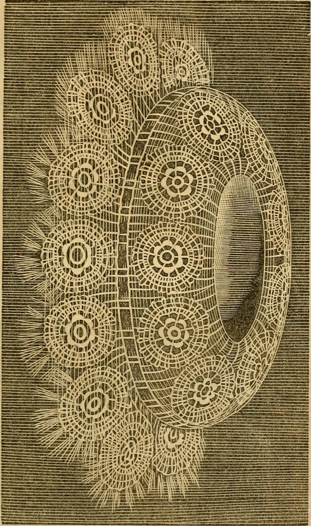 An illustration from Godey's lady's book 1862 Jan -June; Jul - Dec, 1862, leaf 29