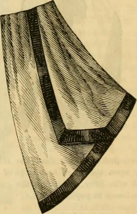 An illustration from Godey's lady's book 1862 Jan -June; Jul - Dec, 1862, leaf 377