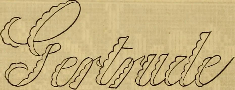 An illustration from Godey's lady's book 1862 Jan -June; Jul - Dec, 1862, leaf 428