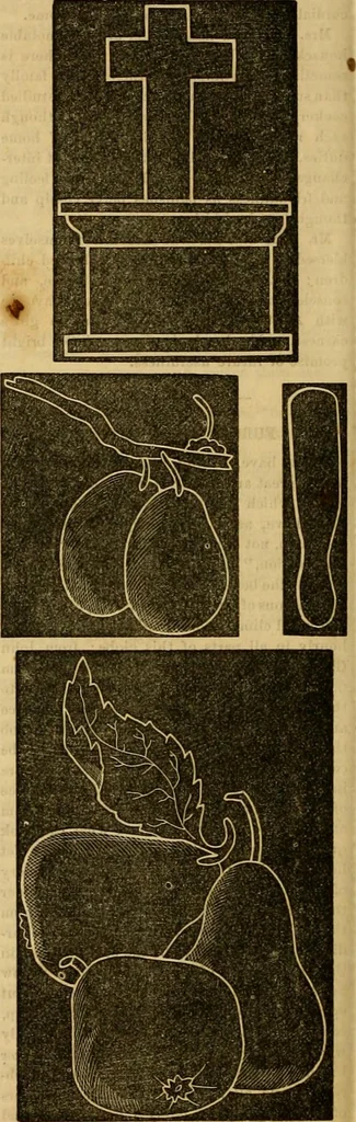 An illustration from Godey's lady's book 1862 Jan -June; Jul - Dec, 1862, leaf 476