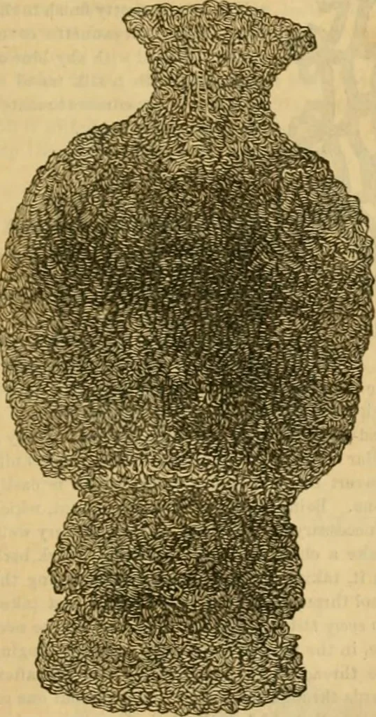 An illustration from Godey's lady's book 1862 Jan -June; Jul - Dec, 1862, leaf 485