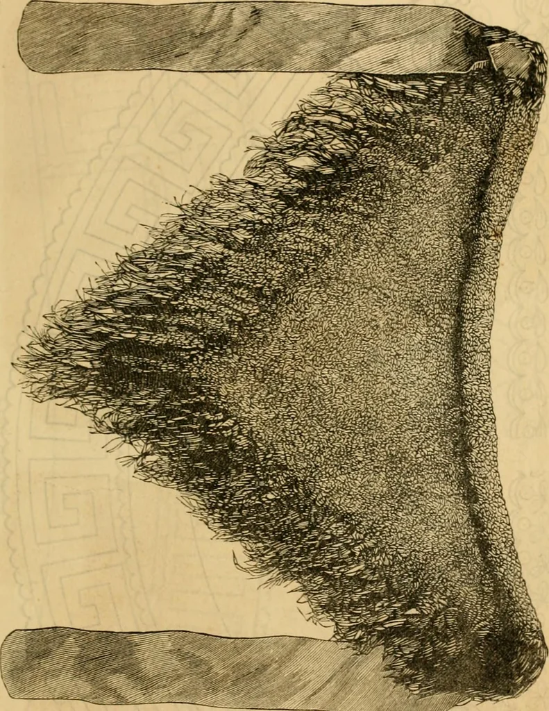 An illustration from Godey's lady's book 1862 Jan -June; Jul - Dec, 1862, leaf 523