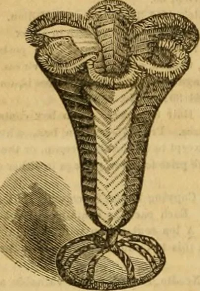 An illustration from Godey's lady's book 1862 Jan -June; Jul - Dec, 1862, leaf 600