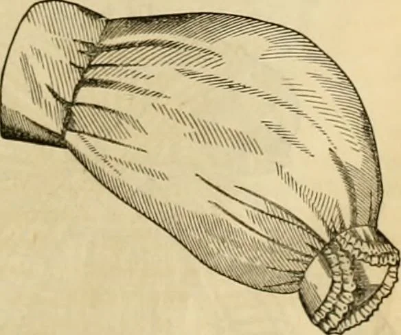 An illustration from Godey's lady's book 1862 Jan -June; Jul - Dec, 1862, leaf 689