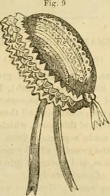 An illustration from Godey's lady's book 1862 Jan -June; Jul - Dec, 1862, leaf 795